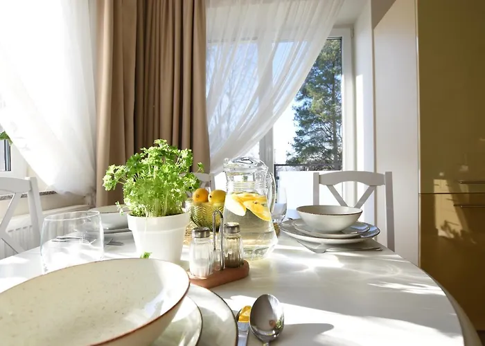 Apartment Pod Gwiazdami - Najlepiej Wyposazone W Ustroniu *